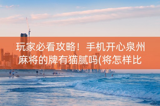 玩家必看攻略！手机开心泉州麻将的牌有猫腻吗(将怎样比较容易赢)