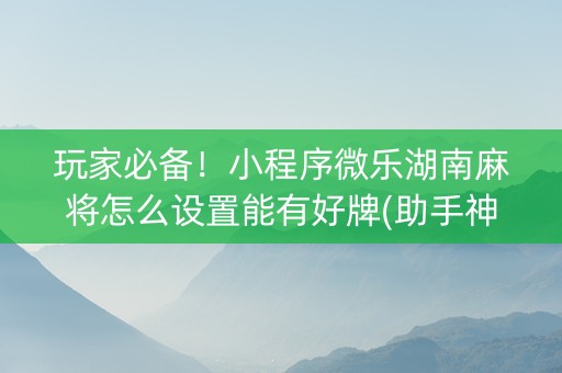 玩家必备！小程序微乐湖南麻将怎么设置能有好牌(助手神器外辅工具)