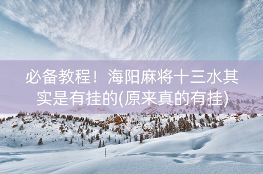 必备教程！海阳麻将十三水其实是有挂的(原来真的有挂)