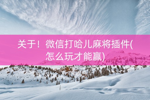 关于！微信打哈儿麻将插件(怎么玩才能赢)