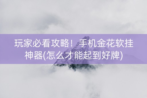 玩家必看攻略！手机金花软挂神器(怎么才能起到好牌)