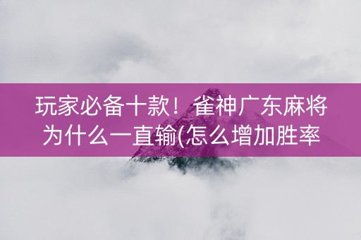 玩家必备十款！雀神广东麻将为什么一直输(怎么增加胜率)