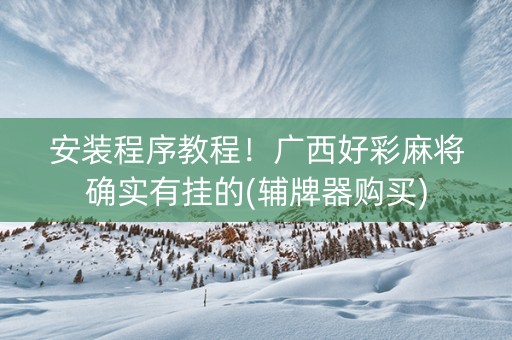 安装程序教程！广西好彩麻将确实有挂的(辅牌器购买)