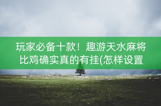 玩家必备十款！趣游天水麻将比鸡确实真的有挂(怎样设置好牌)