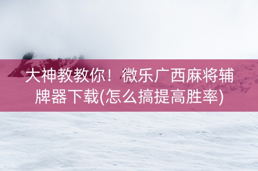 大神教教你！微乐广西麻将辅牌器下载(怎么搞提高胜率)