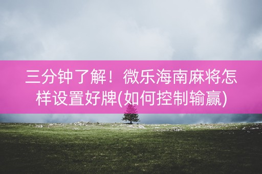 三分钟了解！微乐海南麻将怎样设置好牌(如何控制输赢)