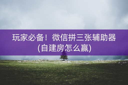 玩家必备！微信拼三张辅助器(自建房怎么赢)