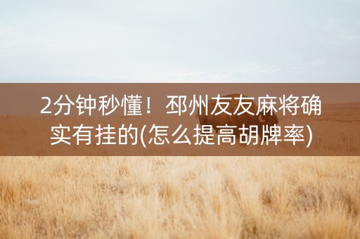 2分钟秒懂！邳州友友麻将确实有挂的(怎么提高胡牌率)