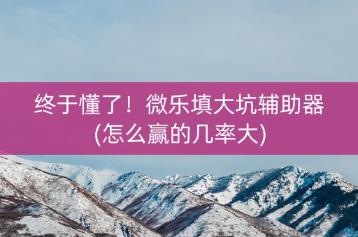 终于懂了！微乐填大坑辅助器(怎么赢的几率大)