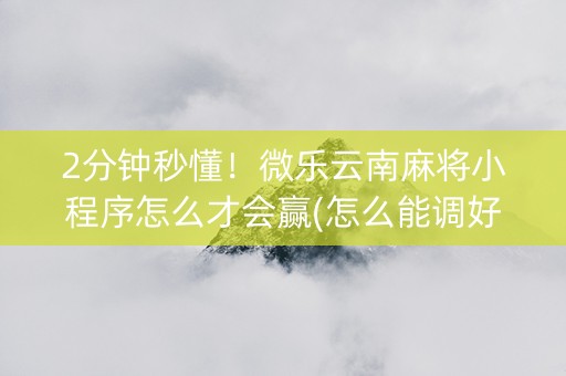 2分钟秒懂！微乐云南麻将小程序怎么才会赢(怎么能调好牌)