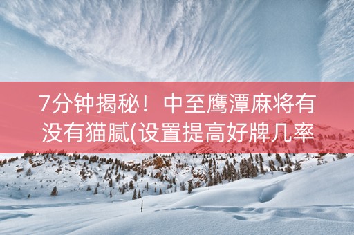 7分钟揭秘！中至鹰潭麻将有没有猫腻(设置提高好牌几率)