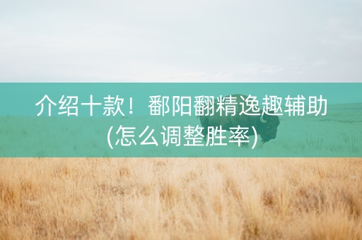 介绍十款！鄱阳翻精逸趣辅助(怎么调整胜率)