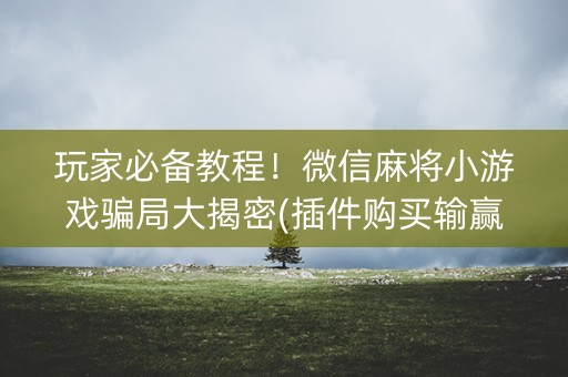 玩家必备教程！微信麻将小游戏骗局大揭密(插件购买输赢规律)