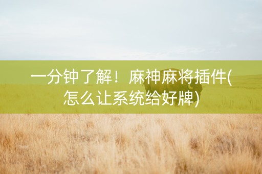 一分钟了解！麻神麻将插件(怎么让系统给好牌)