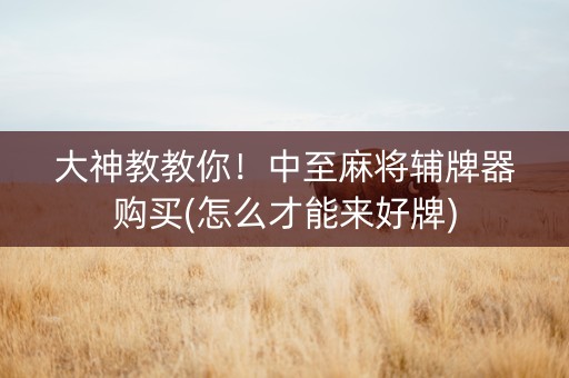 大神教教你！中至麻将辅牌器购买(怎么才能来好牌)