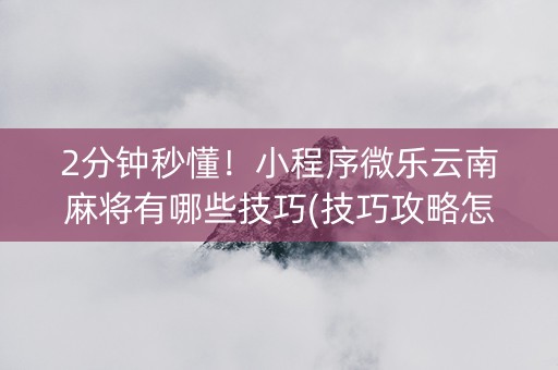 2分钟秒懂！小程序微乐云南麻将有哪些技巧(技巧攻略怎样拿好牌)