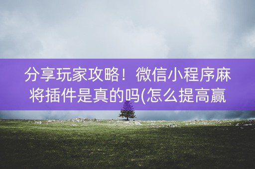 分享玩家攻略！微信小程序麻将插件是真的吗(怎么提高赢牌率)