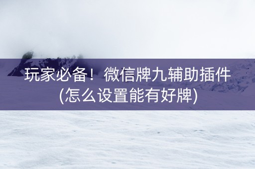 玩家必备！微信牌九辅助插件(怎么设置能有好牌)