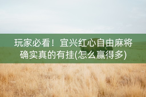 玩家必看！宜兴红心自由麻将确实真的有挂(怎么赢得多)