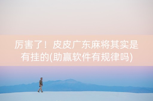 厉害了！皮皮广东麻将其实是有挂的(助赢软件有规律吗)
