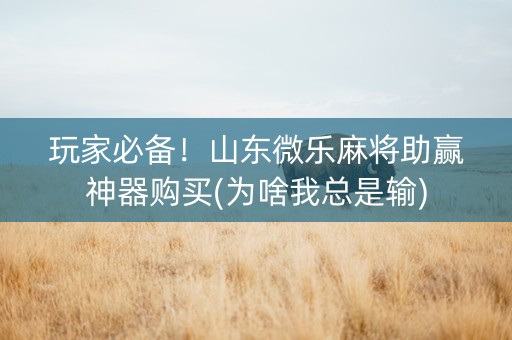 玩家必备！山东微乐麻将助赢神器购买(为啥我总是输)