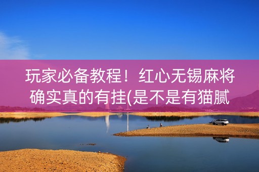 玩家必备教程！红心无锡麻将确实真的有挂(是不是有猫腻)
