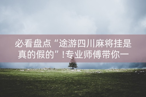 必看盘点“途游四川麻将挂是真的假的”!专业师傅带你一起了解（详细教程）-抖音