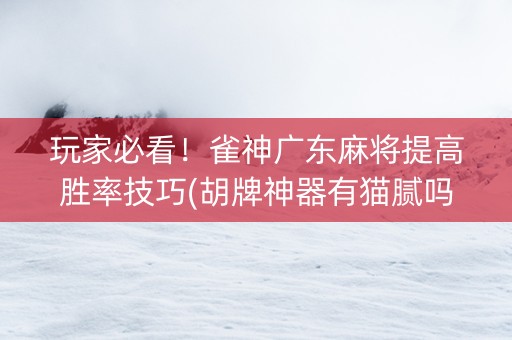 玩家必看！雀神广东麻将提高胜率技巧(胡牌神器有猫腻吗)