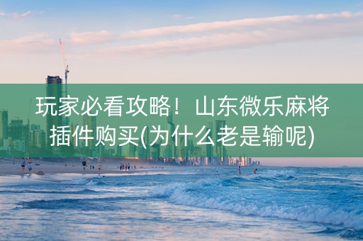玩家必看攻略！山东微乐麻将插件购买(为什么老是输呢)