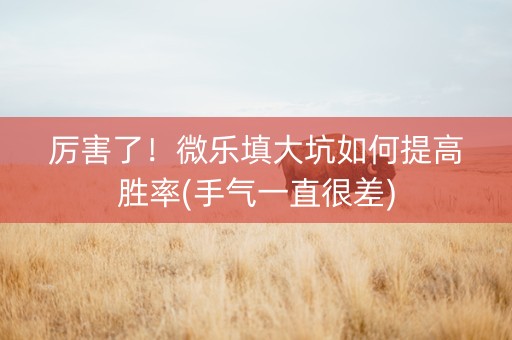 厉害了！微乐填大坑如何提高胜率(手气一直很差)