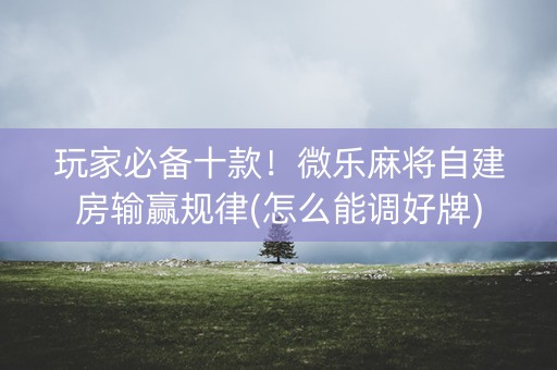 玩家必备十款！微乐麻将自建房输赢规律(怎么能调好牌)