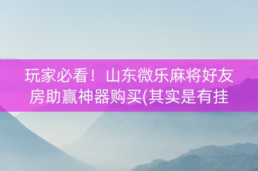 玩家必看！山东微乐麻将好友房助赢神器购买(其实是有挂的)