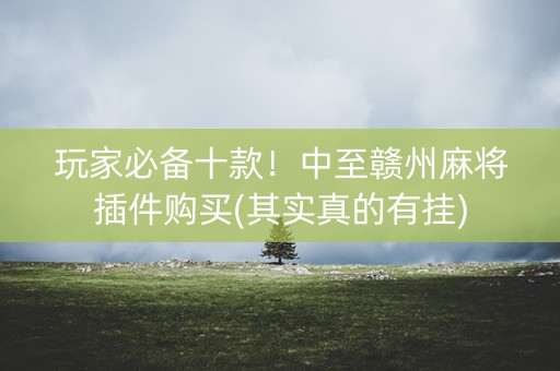 玩家必备十款！中至赣州麻将插件购买(其实真的有挂)