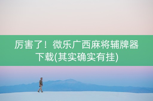 厉害了！微乐广西麻将辅牌器下载(其实确实有挂)