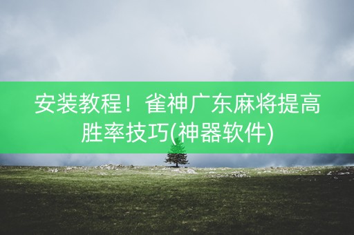 安装教程！雀神广东麻将提高胜率技巧(神器软件)