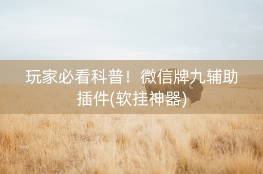 玩家必看科普！微信牌九辅助插件(软挂神器)