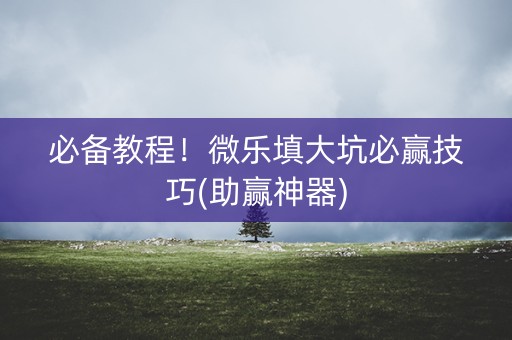 必备教程！微乐填大坑必赢技巧(助赢神器)