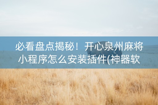 必看盘点揭秘！开心泉州麻将小程序怎么安装插件(神器软件)