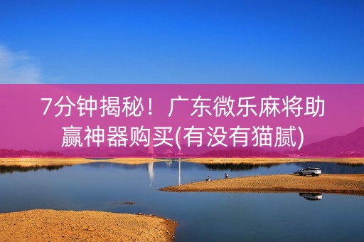 7分钟揭秘！广东微乐麻将助赢神器购买(有没有猫腻)