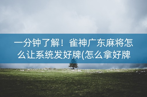 一分钟了解！雀神广东麻将怎么让系统发好牌(怎么拿好牌)
