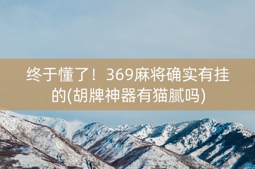 终于懂了！369麻将确实有挂的(胡牌神器有猫腻吗)