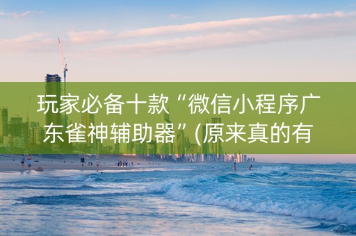 玩家必备十款“微信小程序广东雀神辅助器”(原来真的有挂)-抖音