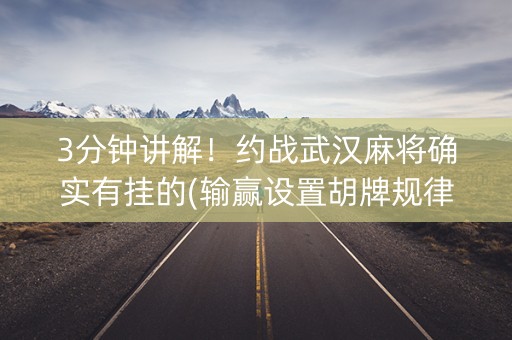 3分钟讲解！约战武汉麻将确实有挂的(输赢设置胡牌规律)