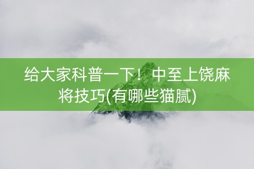 给大家科普一下！中至上饶麻将技巧(有哪些猫腻)