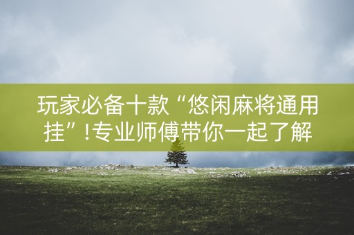 玩家必备十款“悠闲麻将通用挂”!专业师傅带你一起了解（详细教程）-抖音