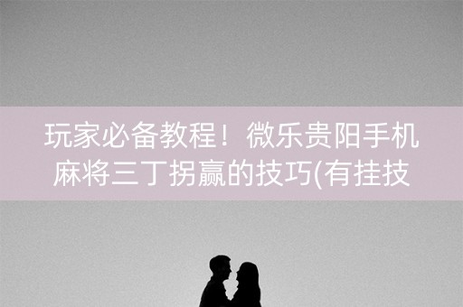 玩家必备教程！微乐贵阳手机麻将三丁拐赢的技巧(有挂技巧辅助器)