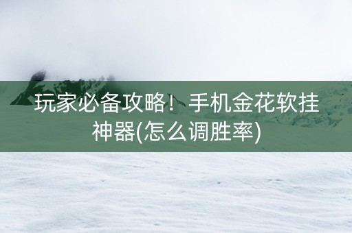 玩家必备攻略！手机金花软挂神器(怎么调胜率)