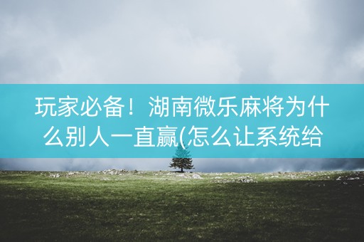 玩家必备！湖南微乐麻将为什么别人一直赢(怎么让系统给好牌)