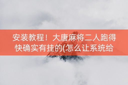 安装教程！大唐麻将二人跑得快确实有挂的(怎么让系统给你发好牌)
