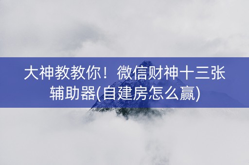 大神教教你！微信财神十三张辅助器(自建房怎么赢)